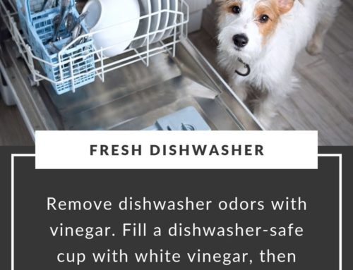 Fresh Dishwasher